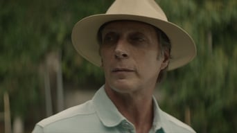 #4 The Neighbor