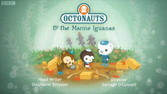 The Marine Iguanas