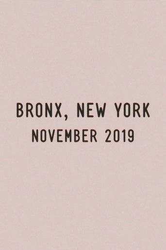 Bronx, New York, November 2019 poster 2