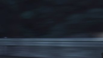 Cena de Luta de Cães