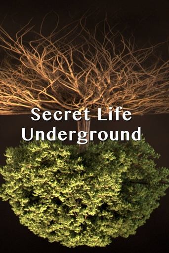 Secret Life Underground en streaming 