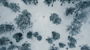 #89 007: Не час помирати