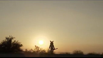 The Bunnyman Massacre (2014)