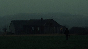 #16 Три кольори: Білий