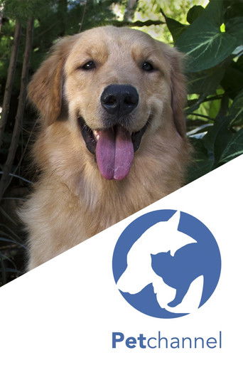 Pet Channel poster