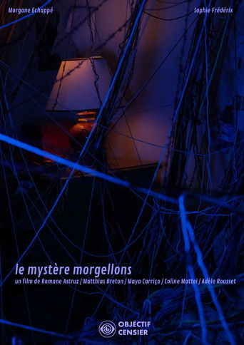 Cartell de The Mystery of Morgellons