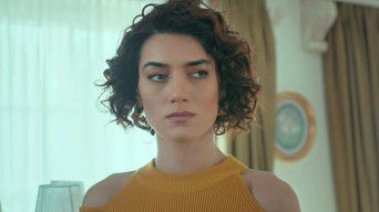 Episode 15 — Episode 15