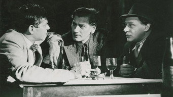 Hon trodde det var han (1943)