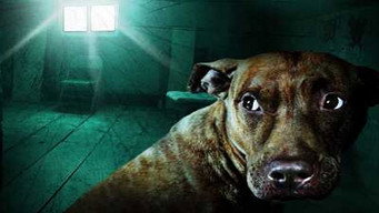 #1 The Haunted