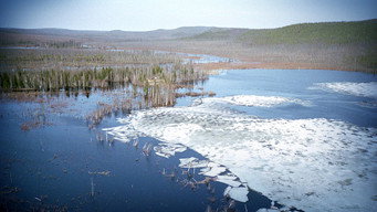 Big Bang in Tunguska (2008)