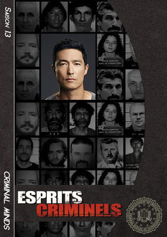Esprits criminels - S13 - Poster