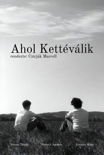 Ahol Kettéválik