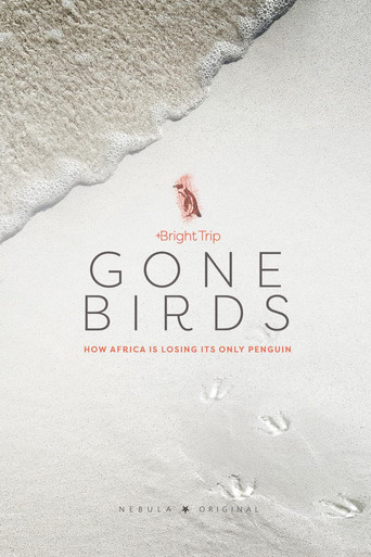 Gone Birds (2022年)のポスター画像 - FindKey