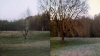 Still 1 from Wind Vane