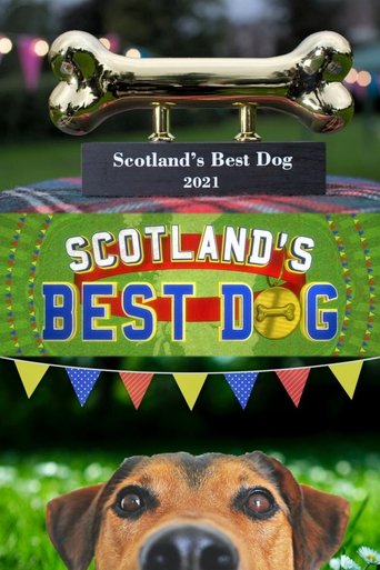 Scotland’s Best Dog: Season 1