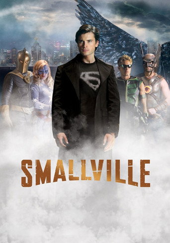 Smallville: Absolute Justice poster