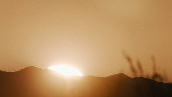 Galeria 3 - She Dies Tomorrow