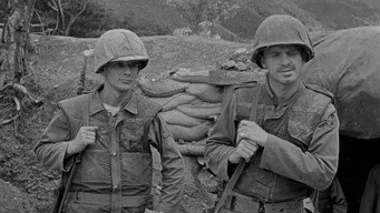 Cease Fire! (1953)