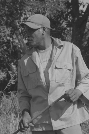 The Silence of the Earth poster