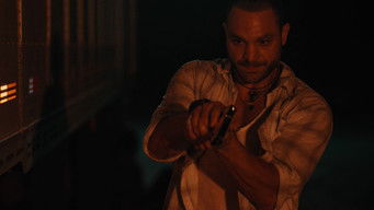 Galeria 4 - King Ivory