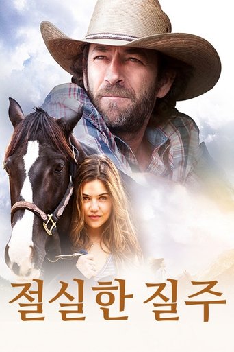 절실한 질주