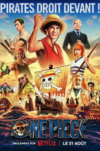 One Piece — affiche alternative