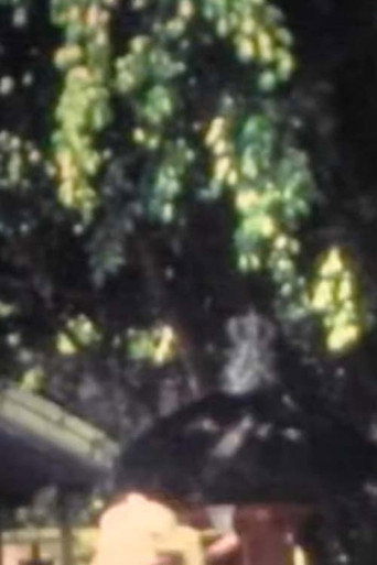 Walking in Bali (1970)