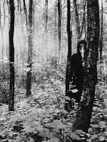 Visions of the Shadow Kingdom II (2020)