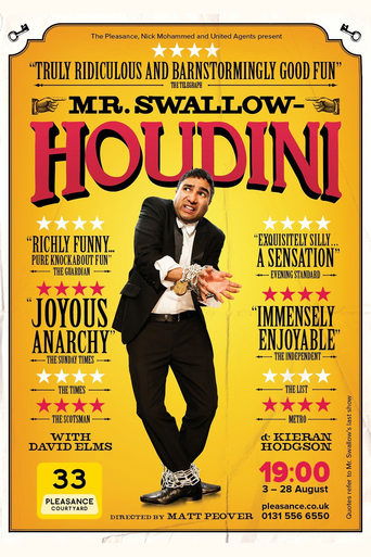 Poster of Mr Swallow: Houdini