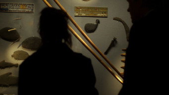 #5 Museum Hours