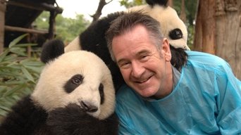 Panda Week with Nigel Marven (2010-2011)