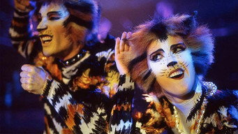 #8 Cats