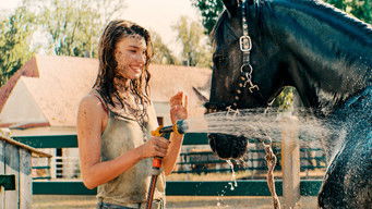 Galeria 5 - Un verano inolvidable