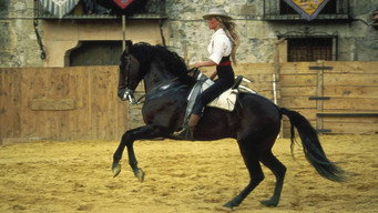#8 Bolero