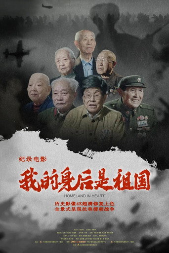 我的身后是祖国海报