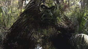 The Skunk Ape Lives (2020)