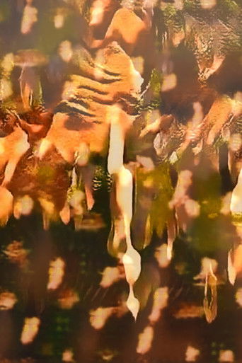 The Body is a Gesture poster