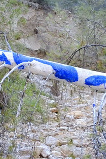 (IKB) - Body Print Into Landscape poster