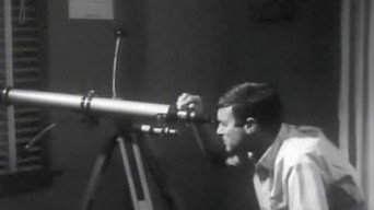The Animal (1968)