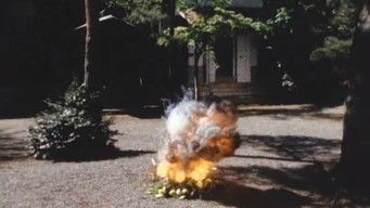 Episode 8 — 6 Targets!! The Flower Which Explodes