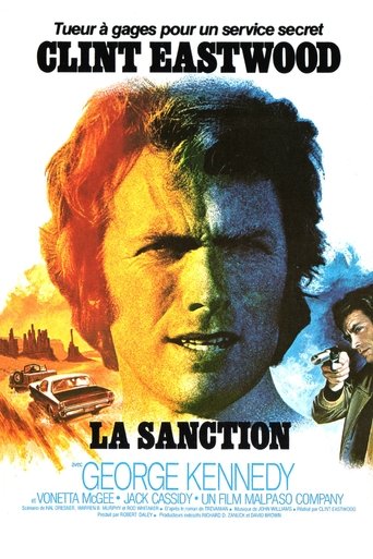 La Sanction en streaming 