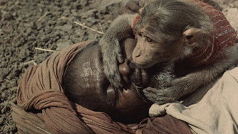 Індія: Матрі Брумі (1959)