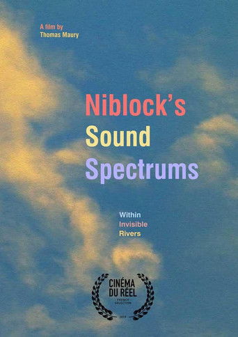 Niblock's Sound Spectrums − Within Invisible Rivers poster