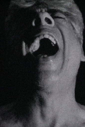 Self Portrait poster