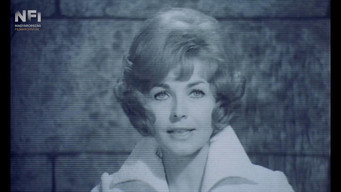 Knight of the TV-screen (1970)