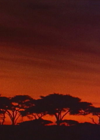 Nzuri: East Africa poster 1