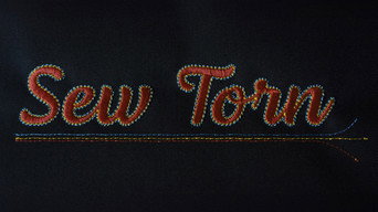 #17 Sew Torn