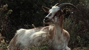 #60 Nostos: The Return