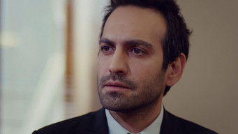 第15話：Episode 15