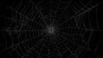 Soundweave (2026)